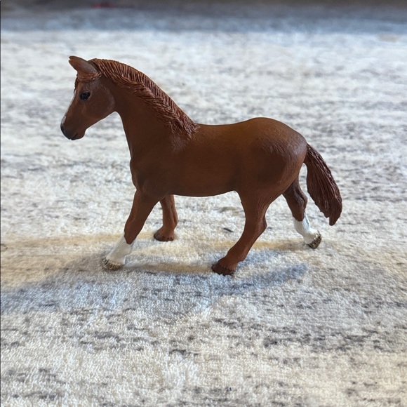 Shellac • horse - Picture 2 of 7